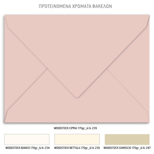 Προσκλητήριο Γάμου Με Bohemian Ύφος Και Pampas Λουλούδια TS289