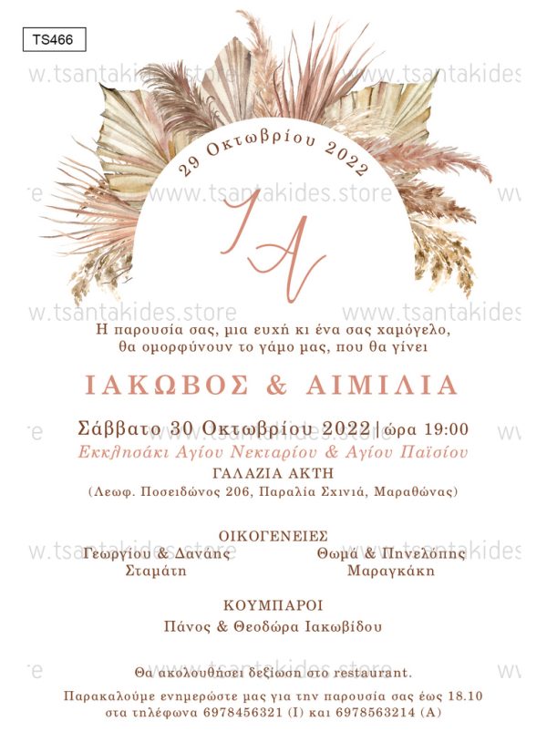 Προσκλητήριο Γάμου Boho Pampas TS466