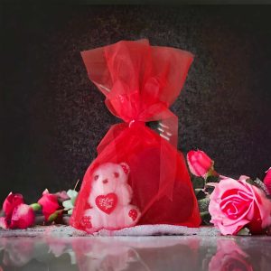 Σετ Δώρου Πουγκί Με Αρκουδάκι Μίνι και Καρδούλα Αγίου Βαλεντίνου